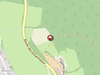 Carte de Trichard Scierie à Propières