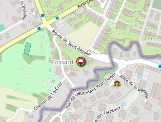 Carte de Pluton.com Informatique 74 à Gaillard