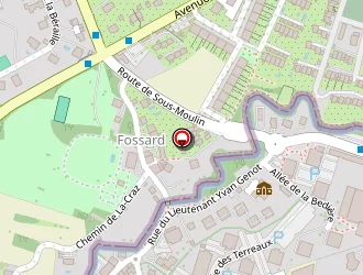 Carte de Terlinchamp Olivier à Gaillard