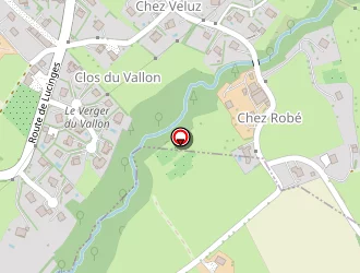 Carte de Bornet Martine à Lucinges