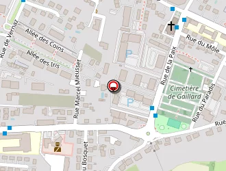 Carte de Verdier Jacques à Gaillard