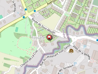 Carte de Reinoso Flores Ignacio à Gaillard