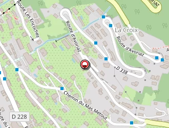 Carte de Grosjean Camille à Morzine