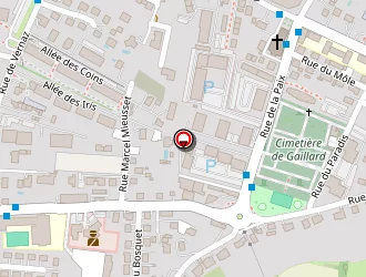 Carte de Angotransport à Gaillard