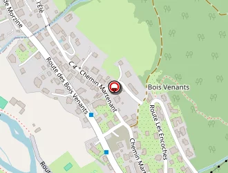 Carte de Georges Braize à Morzine