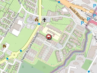 Carte de Hasani Sokol à Gaillard