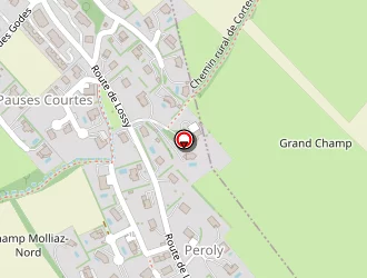 Carte de Pizza Jean à Cranves-sales