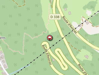 Carte de Carrie Greer à Morzine