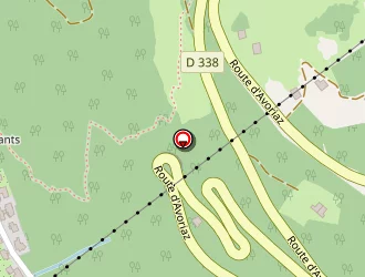 Carte de Steenkamp Martin à Morzine