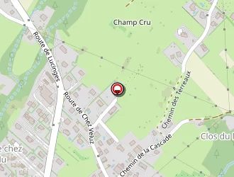 Carte de Condevaux Denis à Lucinges