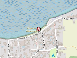 Carte de Leger Serge à Flotte (la)