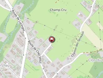 Carte de Delucinge Eric à Lucinges