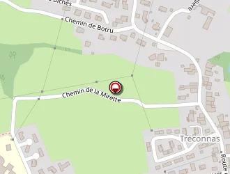 Carte de Goyard électricité à Ceyzériat