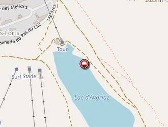 Carte de Bouchet Loïc à Morzine