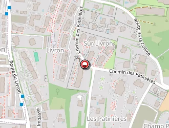 Carte de Roux Michel à Vétraz-monthoux