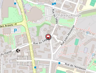 Carte de Haidar Amdjadi à Annemasse