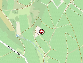 Carte de Pichet Bernard à Chiroubles