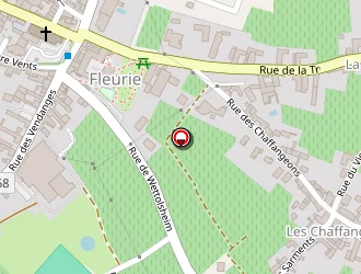 Carte de Men In Coiff à Fleurie