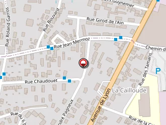 Carte de C.i.t à Péronnas