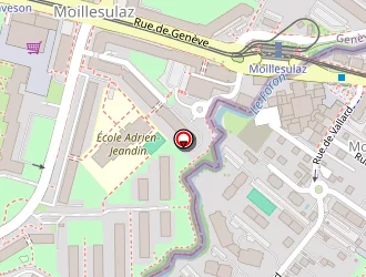 Carte de Braillard Sylvie à Gaillard