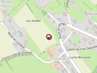 Carte de Cabinet Lucinges à Lucinges