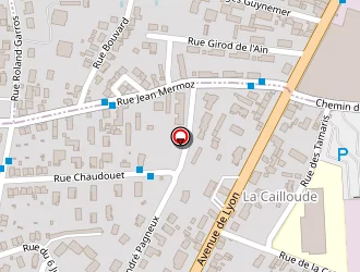 Carte de Citroën Garage Bouchard Fréderic  Réparateur Agréé à Péronnas