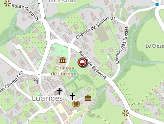 Carte de Ducruet Lucien à Lucinges