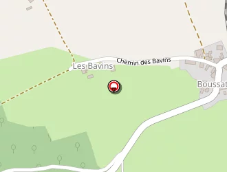 Carte de Jamain Olivier à Bellenaves