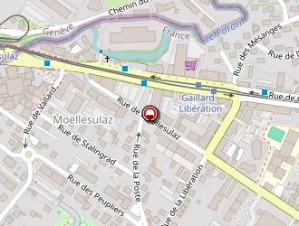 Carte de Bz Conseil à Gaillard