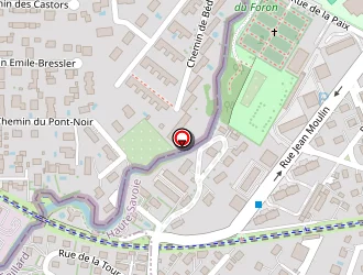 Carte de Russier-lambrigger Yves à Gaillard