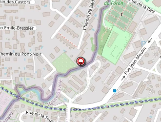 Carte de Douanes à Gaillard