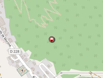 Carte de Gallay Sandra à Montriond