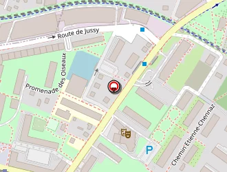 Carte de Taxi Leroyer à Gaillard