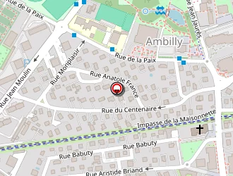 Carte de Bona Ionel à Ambilly