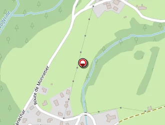 Carte de Virollet Monique à Champfromier