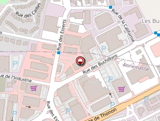 Carte de Pelletier David à Annemasse