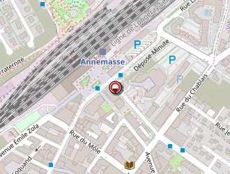 Carte de Le Punjabi à Annemasse