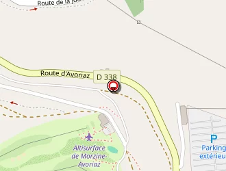 Carte de Snow Palm à Morzine