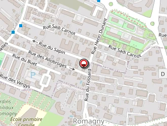 Carte de Kowa Déco à Annemasse