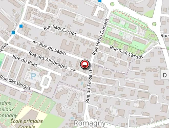 Carte de La Pizz à Annemasse