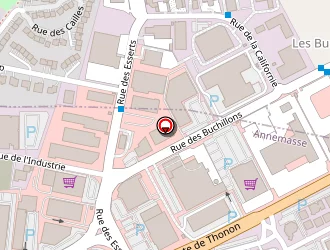 Carte de Tapis Saint Maclou à Annemasse