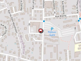 Carte de Fraysse Frédéric à Bourg-en-bresse