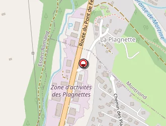 Carte de Tavernier Daniel à Morzine