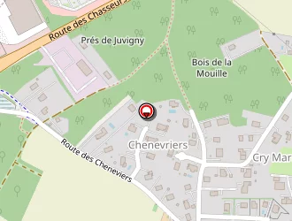 Carte de A. Maurice Electro à Cranves-sales