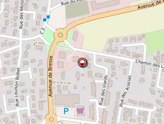 Carte de Hugonnet Philippe à Saint-denis-lès-bourg