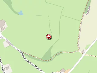 Carte de Burnichon Gérard à Tancon