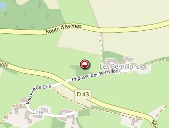 Carte de Cottier Grégory à Villerest