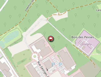 Carte de Leroy Merlin à Annemasse