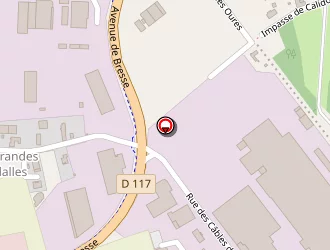 Carte de T.n.b à Saint-denis-lès-bourg