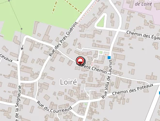 Carte de Decourt Alain à Vérines